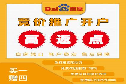 百度推广平台：从零到一的营销策略案例
